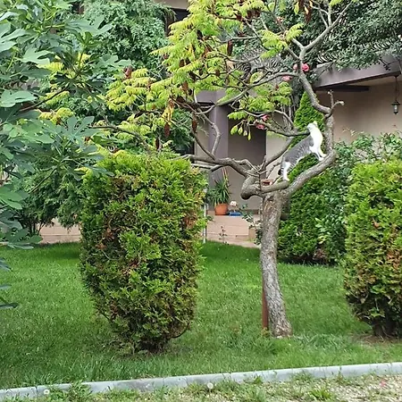 Choco-latte Affittacamere 3*