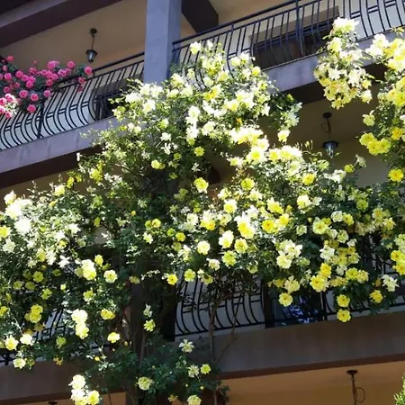 Vila Choco-latte Guest house Costinesti