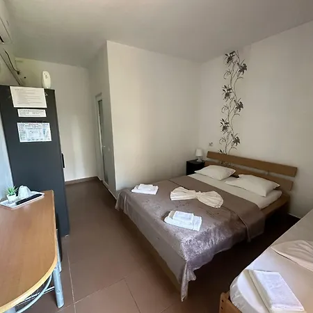 Choco-latte Гостевой дом Костинешти